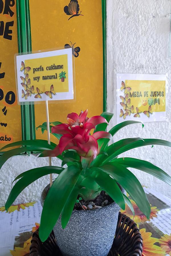 בוקארמנגה Hostal Gabo מראה חיצוני תמונה